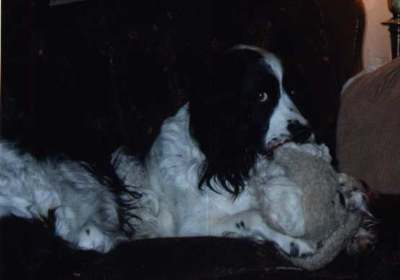 Max cuddles his teddy.