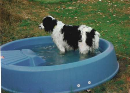 Gracy goes for a swim.